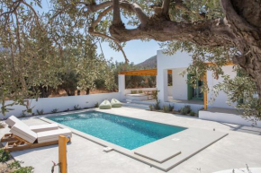 Onar Villas Skyros